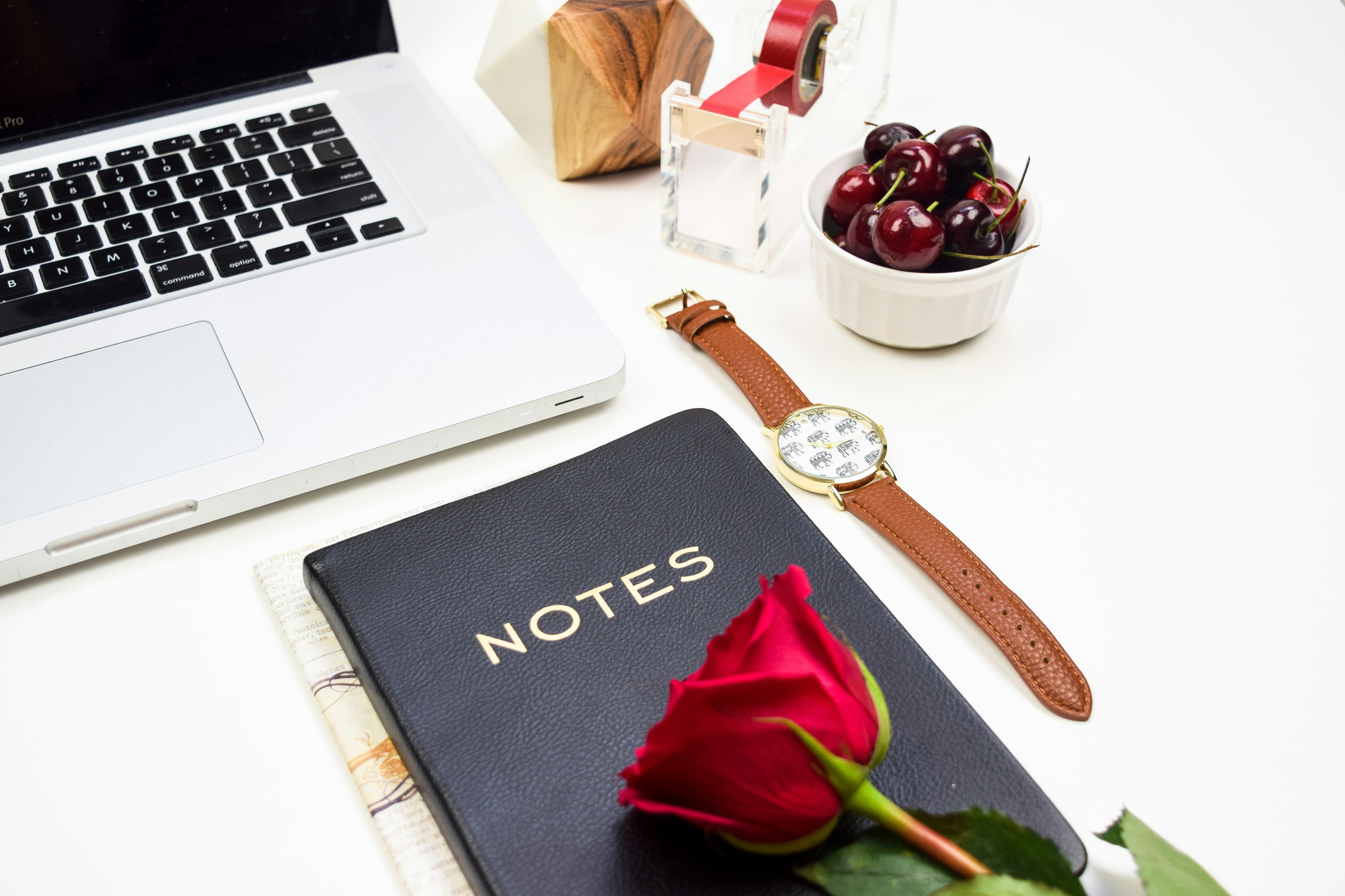 Red rose on notebook near MacBook